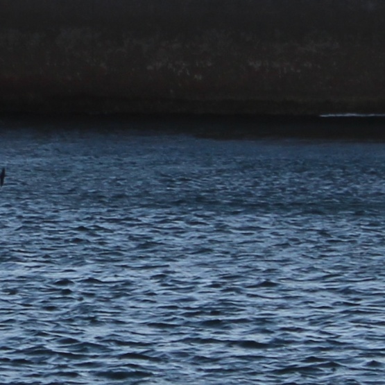 imagen del agua en movimiento en balsa de Aguas Albacete