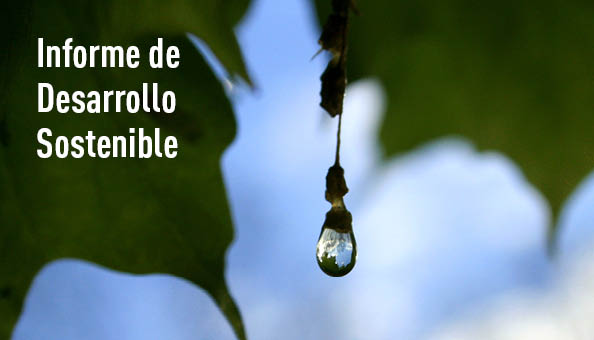 Memoria de Desarrollo Sostenible. Se abre en ventana nueva